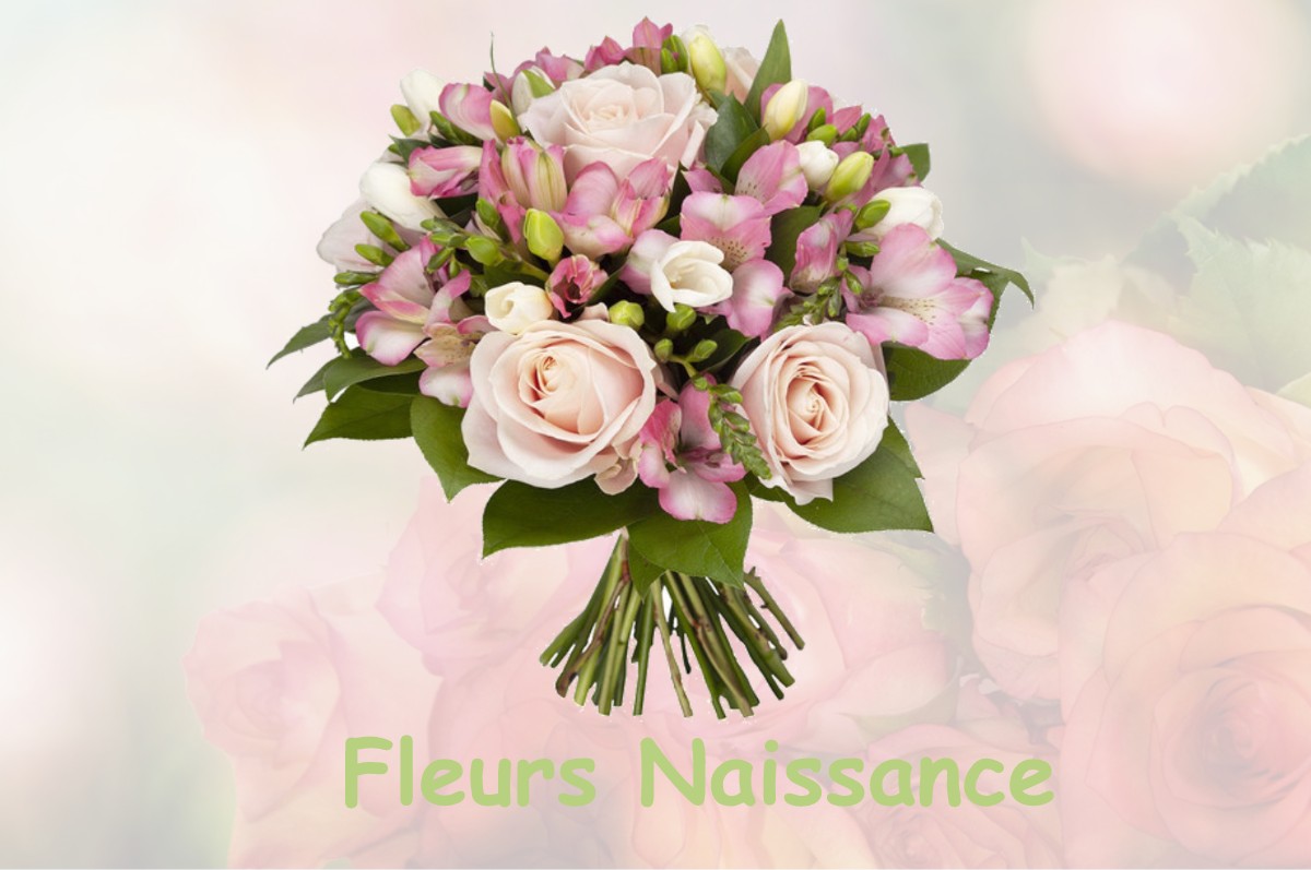 fleurs naissance MONTESQUIEU-GUITTAUT