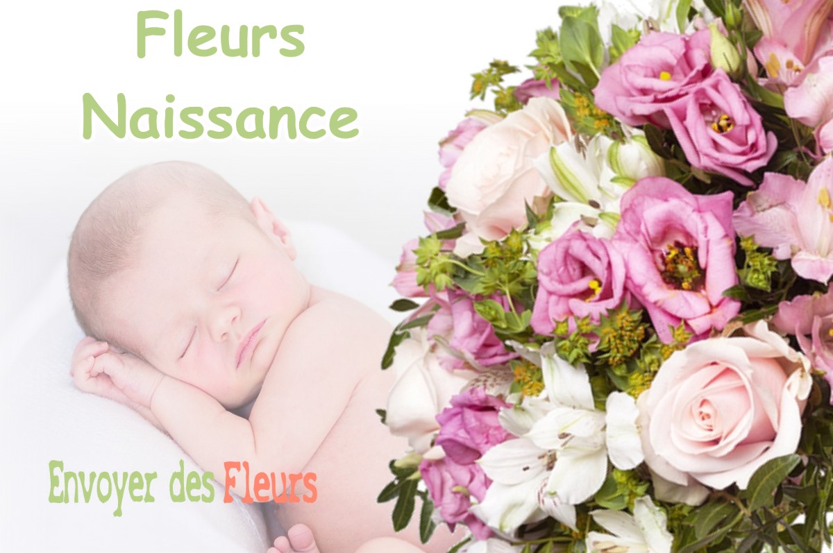 lIVRAISON FLEURS NAISSANCE à MONTESQUIEU-GUITTAUT